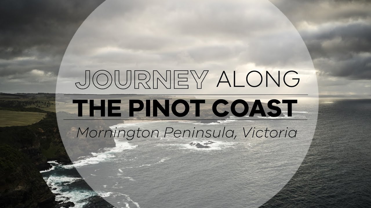 Journey along Australia's Pinot Coast in the Mornington Peninsula