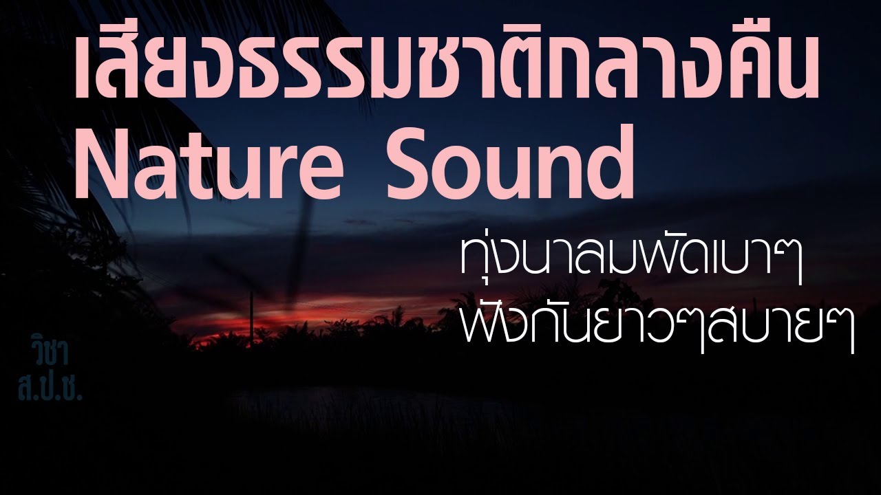 เสียงกลางคืน 8 ชม. ทุ่งนา ลมพัด กบ เขีบยด จิ้งหรีด แมลง Nature Sound ฟังสบายๆ ก่อนนอน#เสียงธรรมชาติ