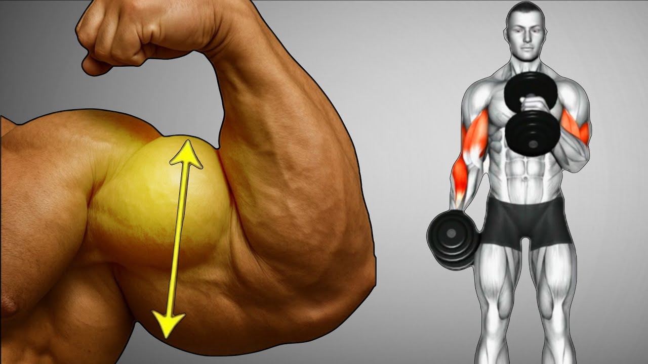 Get Huge Biceps Fast 💪 | Biceps Workout 
