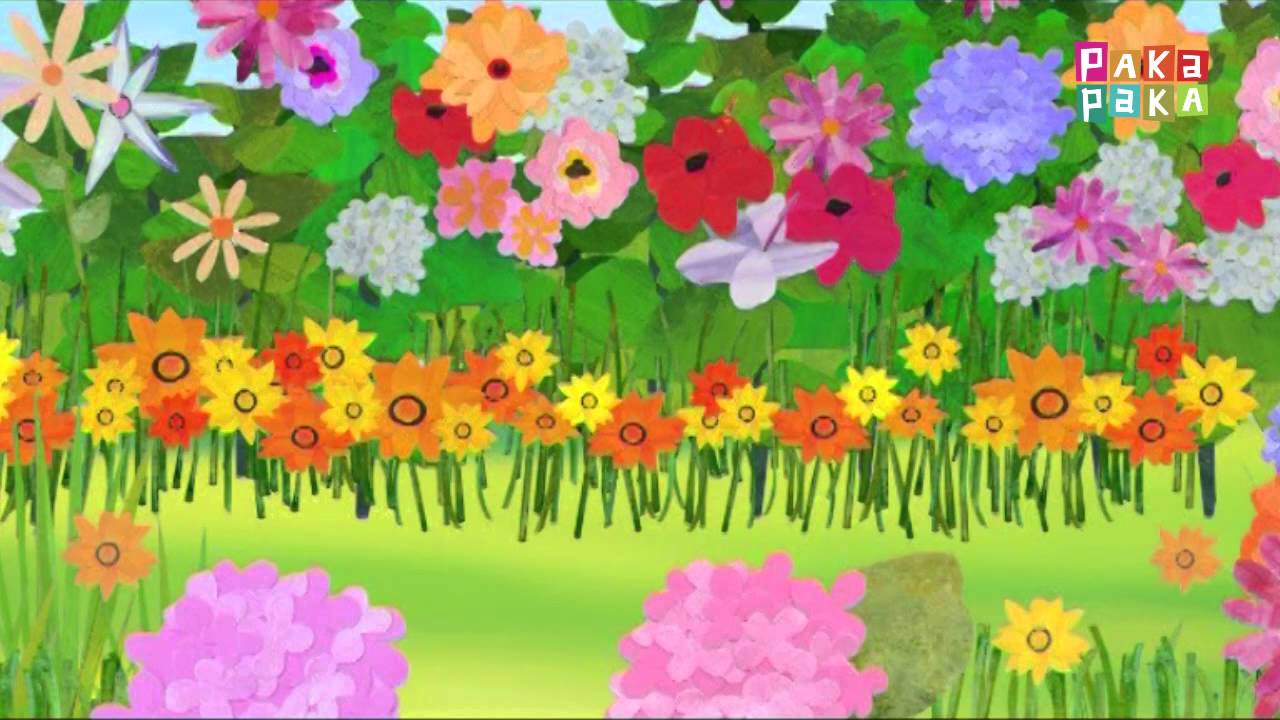 Animapaka I: Mariposa (Cap. 17) - Canal Pakapaka