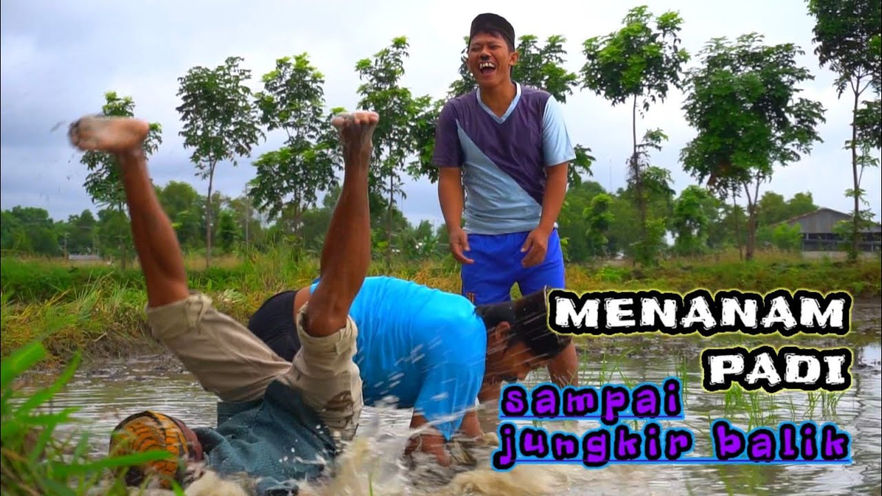 MADURA LUCU //.MENANAM PADI,,// KOCAK ABIS