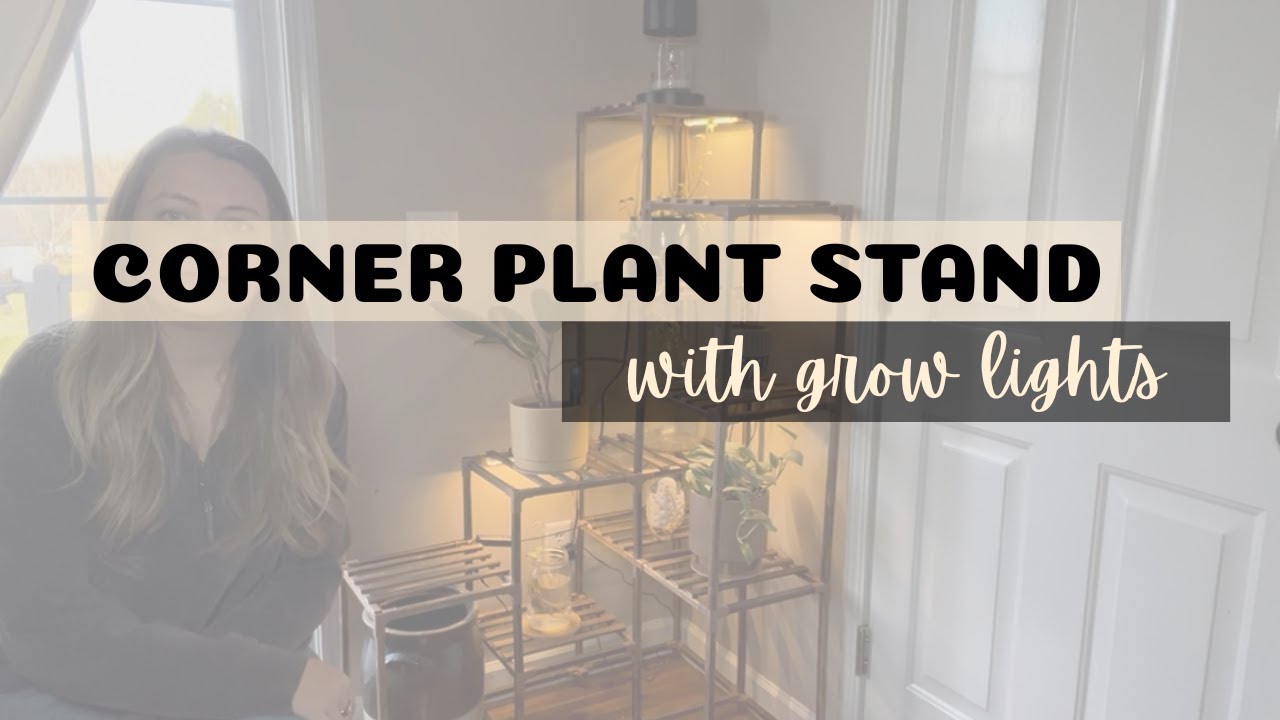 The Truth About This Corner Grow Light Shelf | Tested & Reviewed!