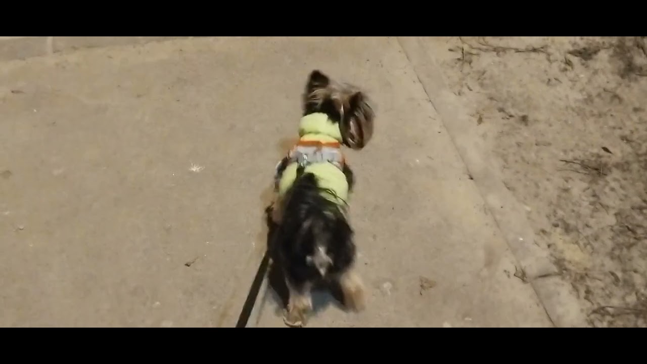 Харьков Салтовка 11 марта 2026 года. ДОБРЫЙ ВЕЧЕР 🐕🌃 З
