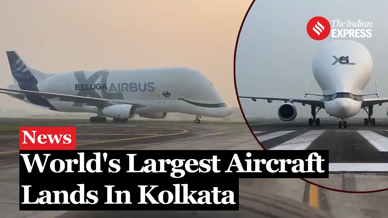 Beluga XL: World's Largest Cargo Aircraft Beluga XL Lands In Kolkata International Airport