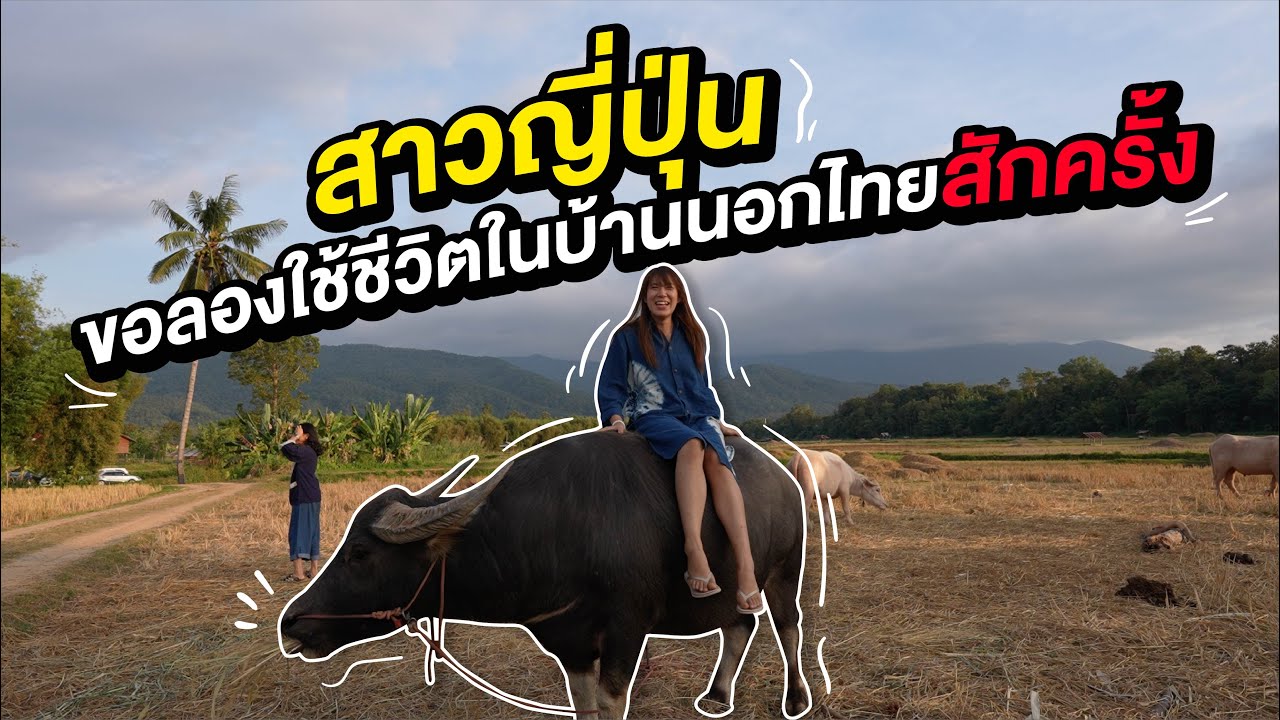 คนญี่ปุ่นอยากเกิดเป็นคนชนบทในประเทศไทย ใช้ชีวิตเรียบง่ายและมีความสุขที่สุด!