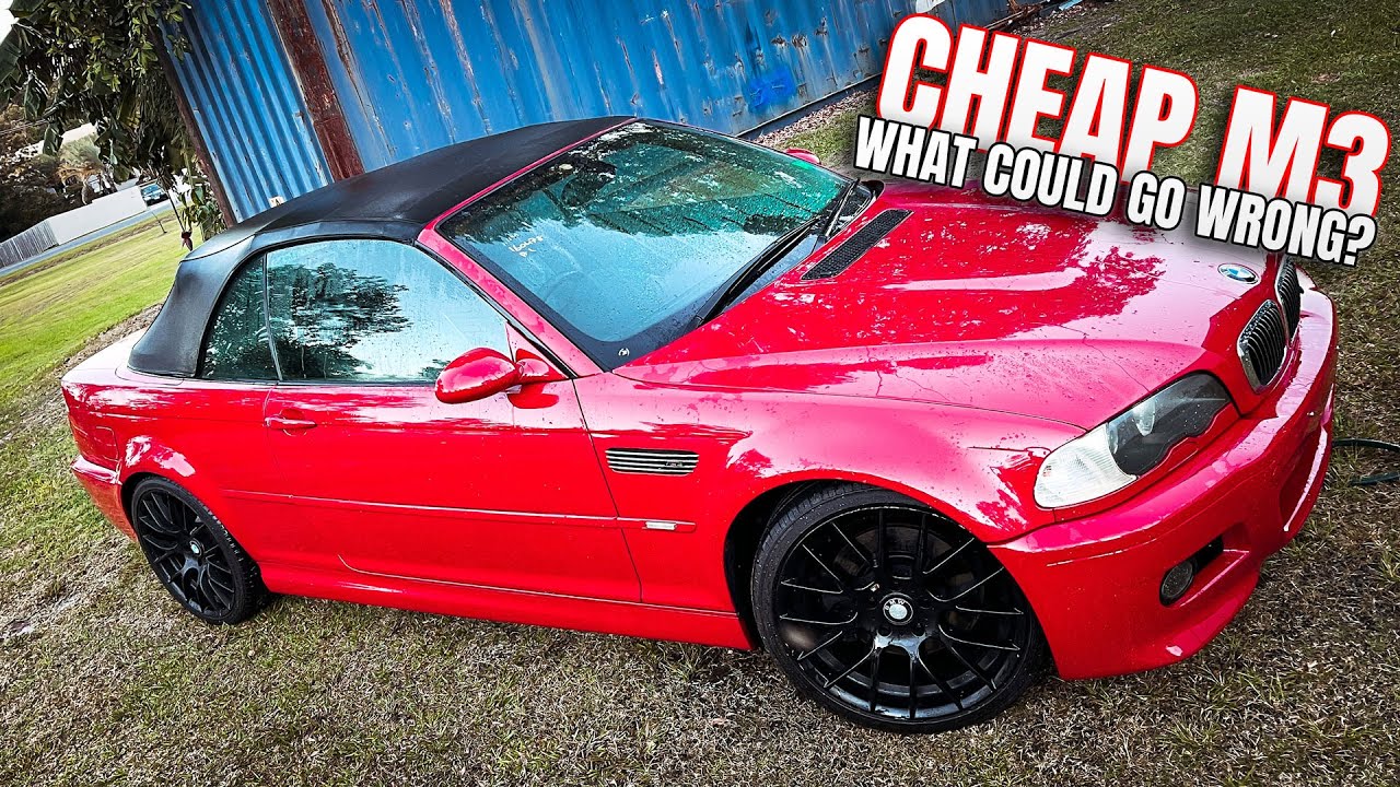 BMW E46 M3: МОЖЕТ ЛИ МАСЛО ИСПРАВИТЬ ГРЕМЧ S54 VANOS?