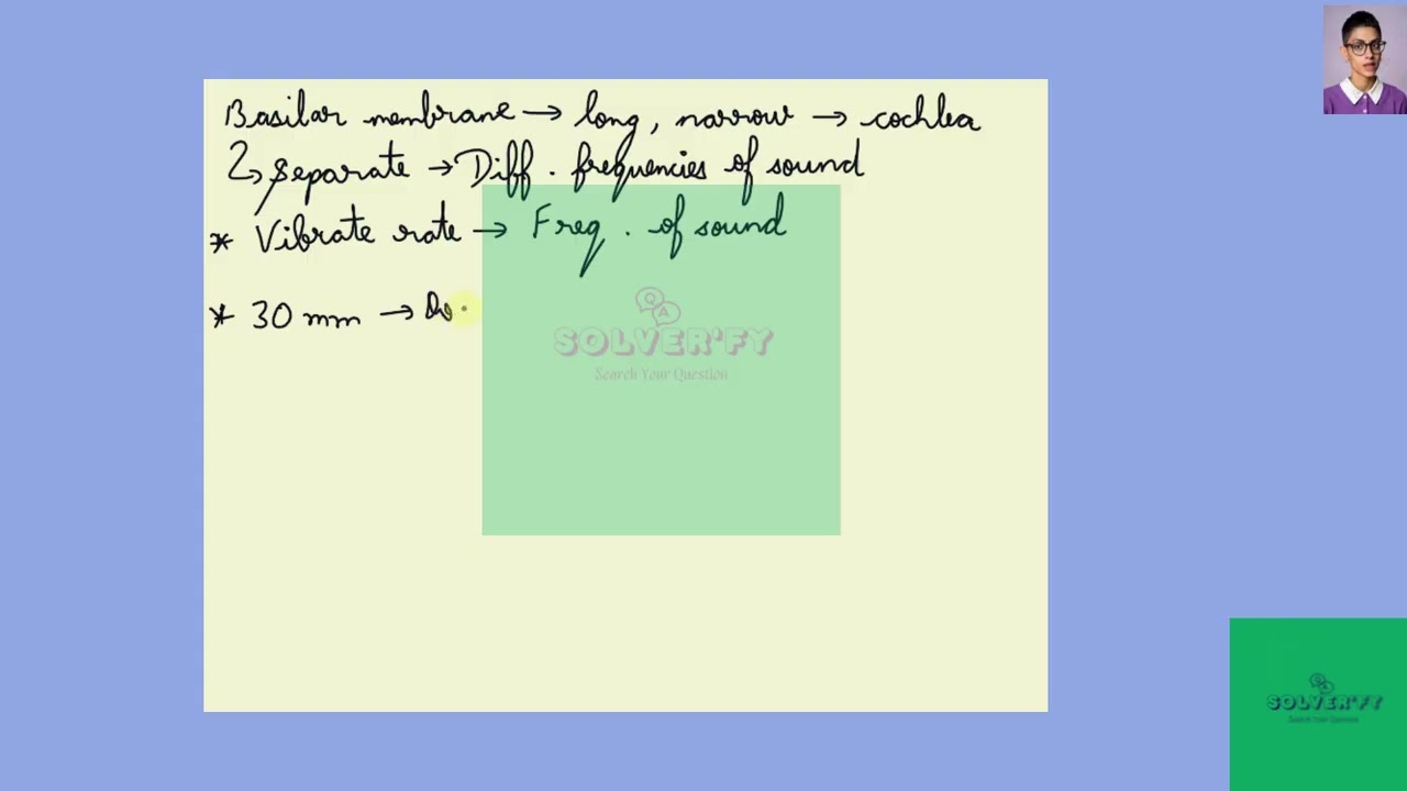 [Biology] Describe your perception of a pressure wave that initially vibrates the basilar membrane r