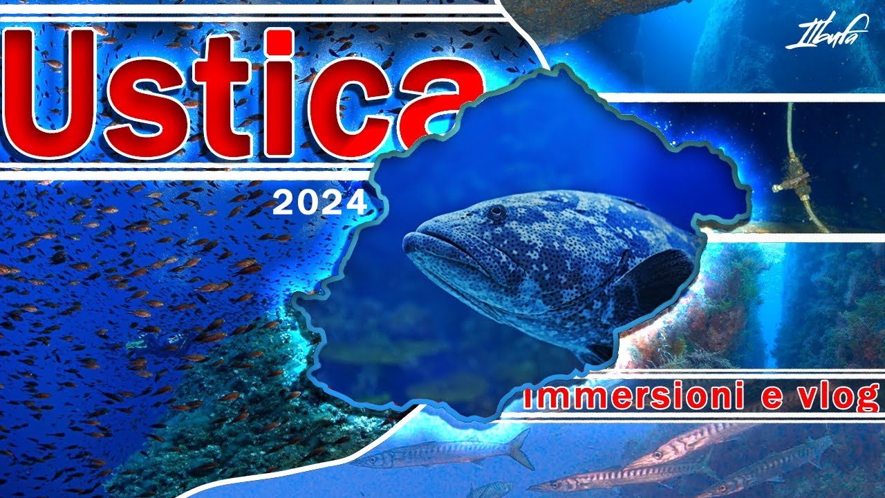 USTICA 2024 | Immergiti e scopri la piccola Isola del Mar Tirreno