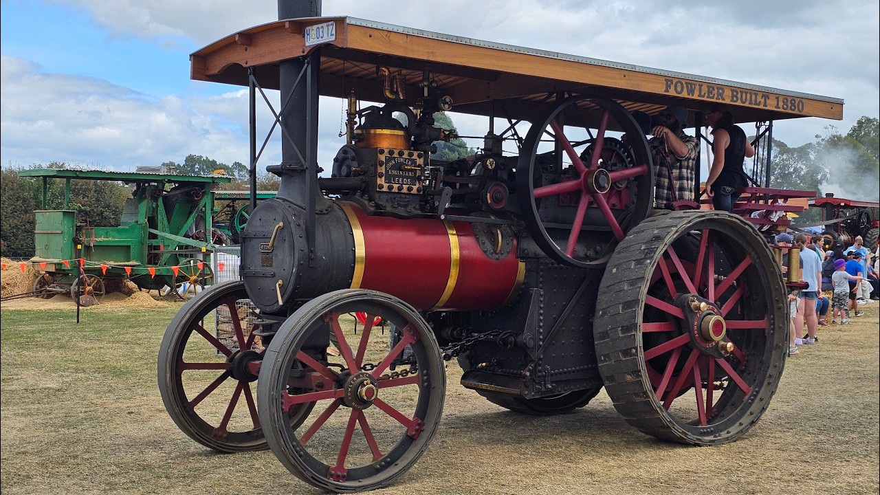STEAMFEST 2026 Sheffield - Tasmania