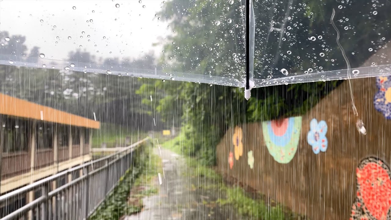 (4K) Walking in Heavy Rain | Rain Sounds for Relaxing | Alleyways | South Korea | 청주 운리단길, 폭우 빗소리