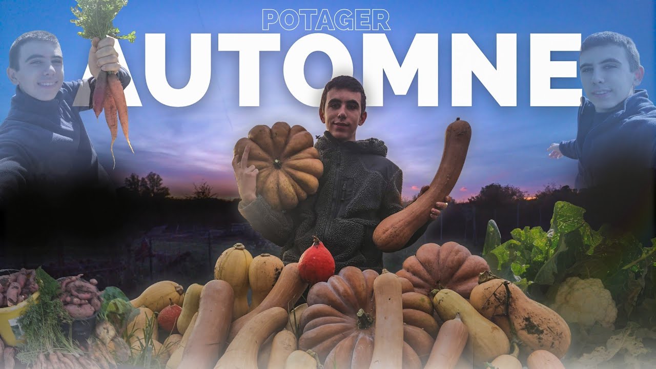 Mon POTAGER d'AUTOMNE réussi à 100% 🍂!! (Ou presque...)