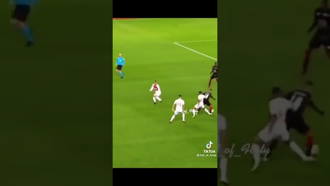 Best Skill Ben Arfa#