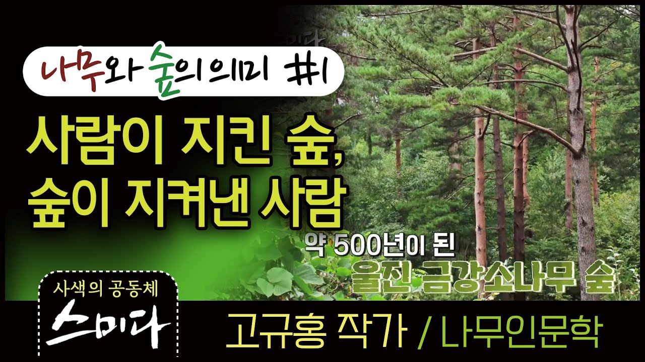 고규홍 작가#1 사람이 지킨 숲, 숲이 지켜낸 사람 (제주 비자나무 숲) 사색의 공동체 스미다
