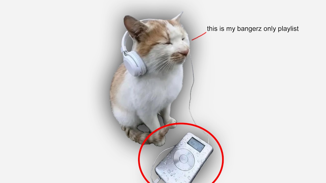 I found my cat's mp3 player - I was SHOCKED