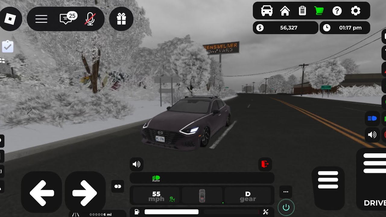 Peacefully Driving my 2023 Hyundai Sonata (Rensselaer County)