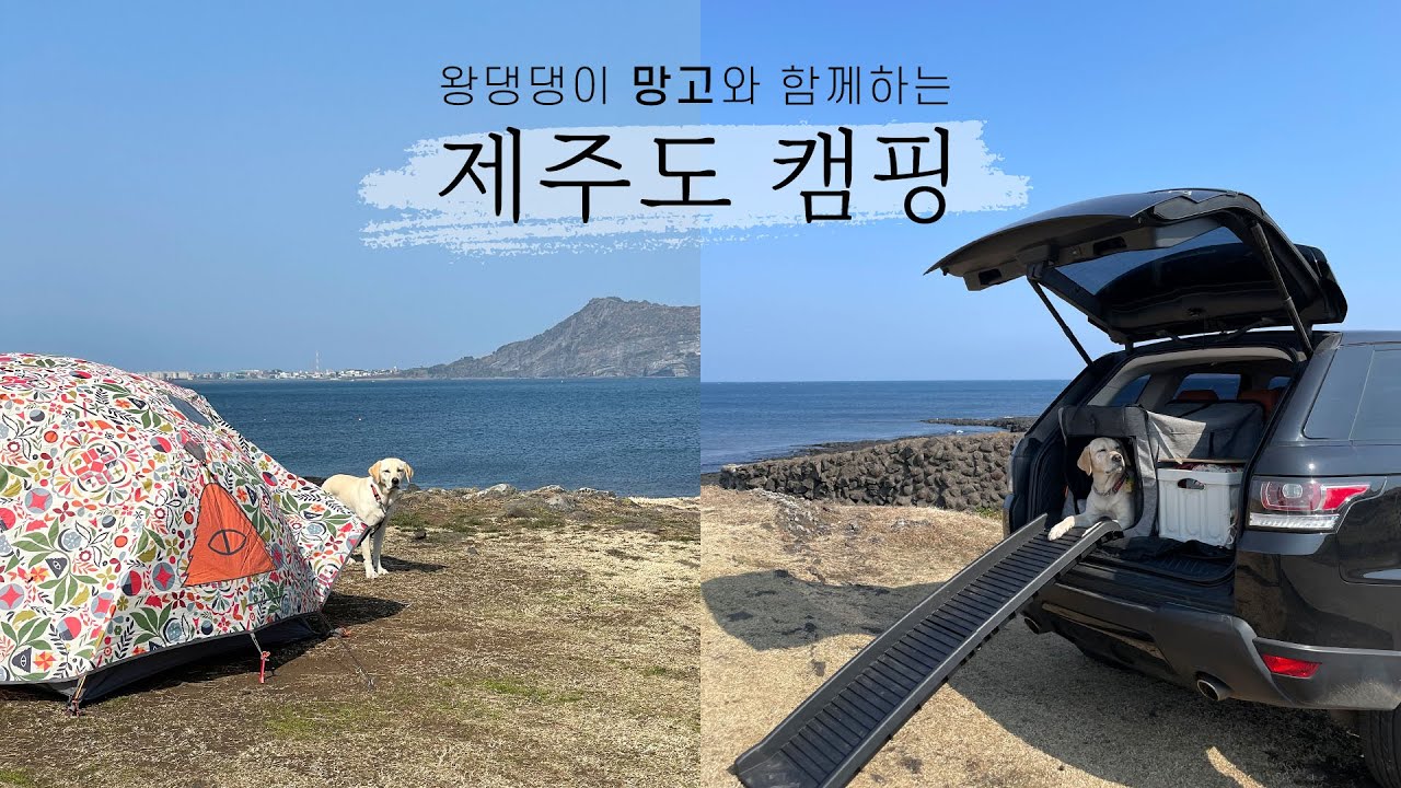 [대형견 동반 제주도 캠핑] 성산일출봉이 한 눈에 보이는 제주 캠핑 🏝️
