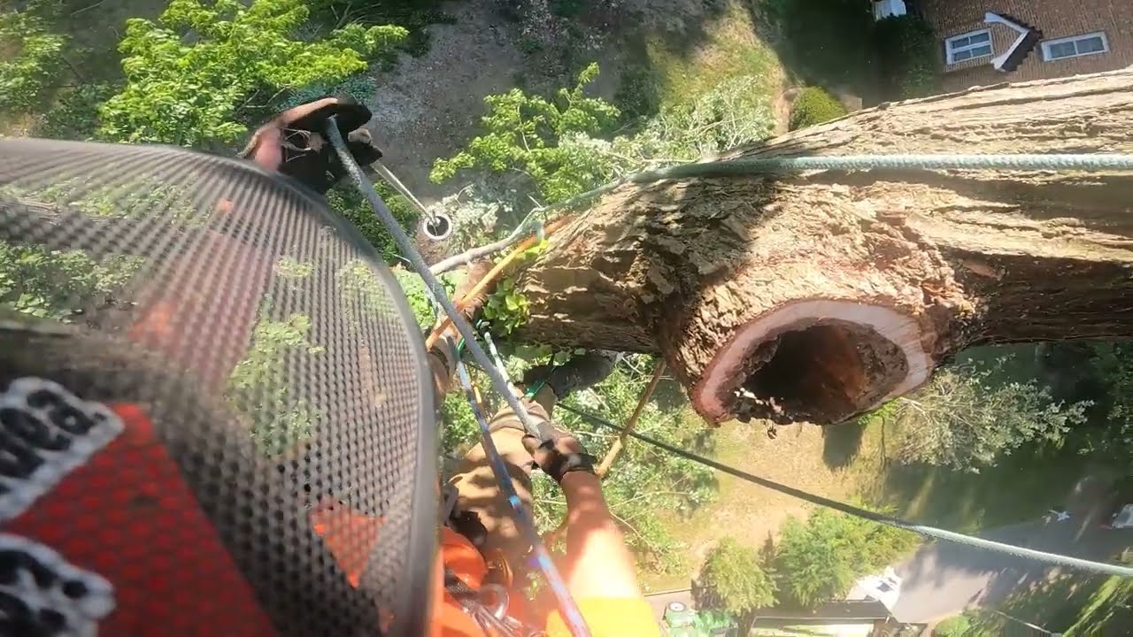Bombing out everything, except for the wildlife...