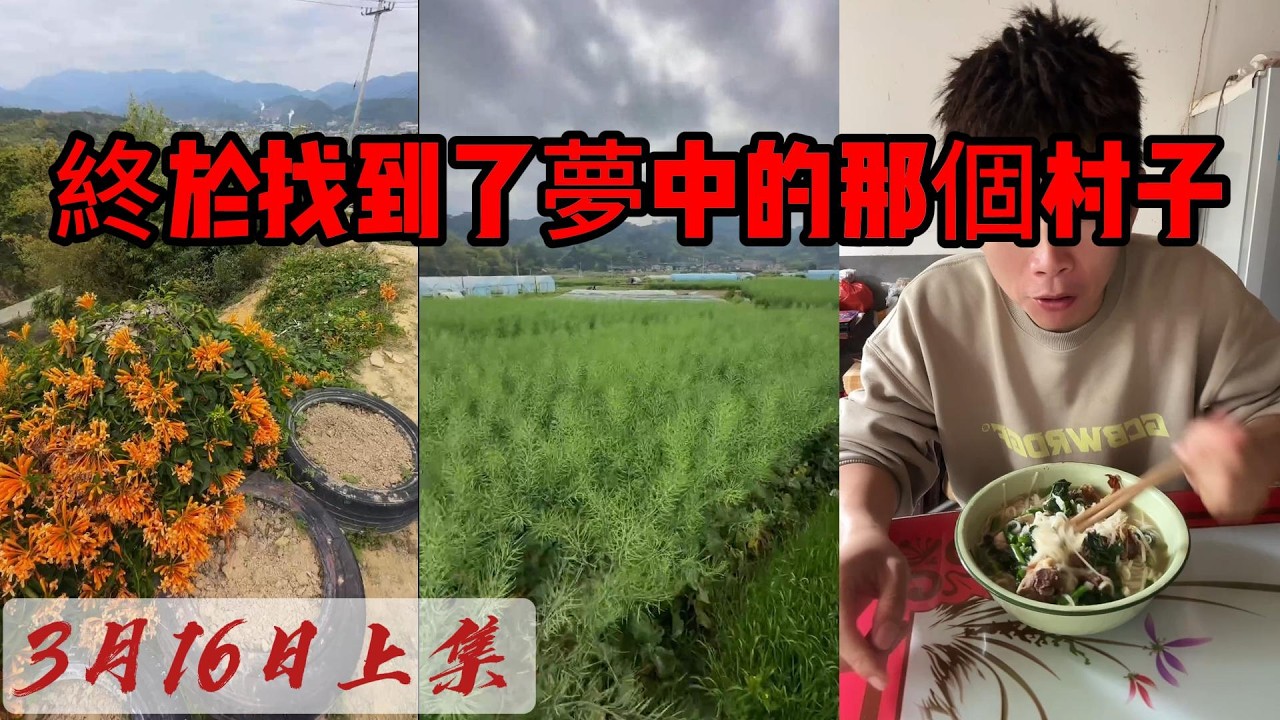 自駕窮遊新玩法：不住飯店改蹭村民家？ 2026-03-16 10:00:38