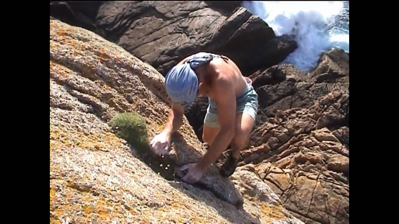 Gillan E3 5c Mark Edwards soloing. HD wmv