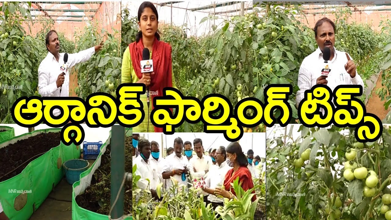 Centre Of Excellence in Telangana l Horticulture Centre in hyderabad lorganic farming l MNRAnnadatha