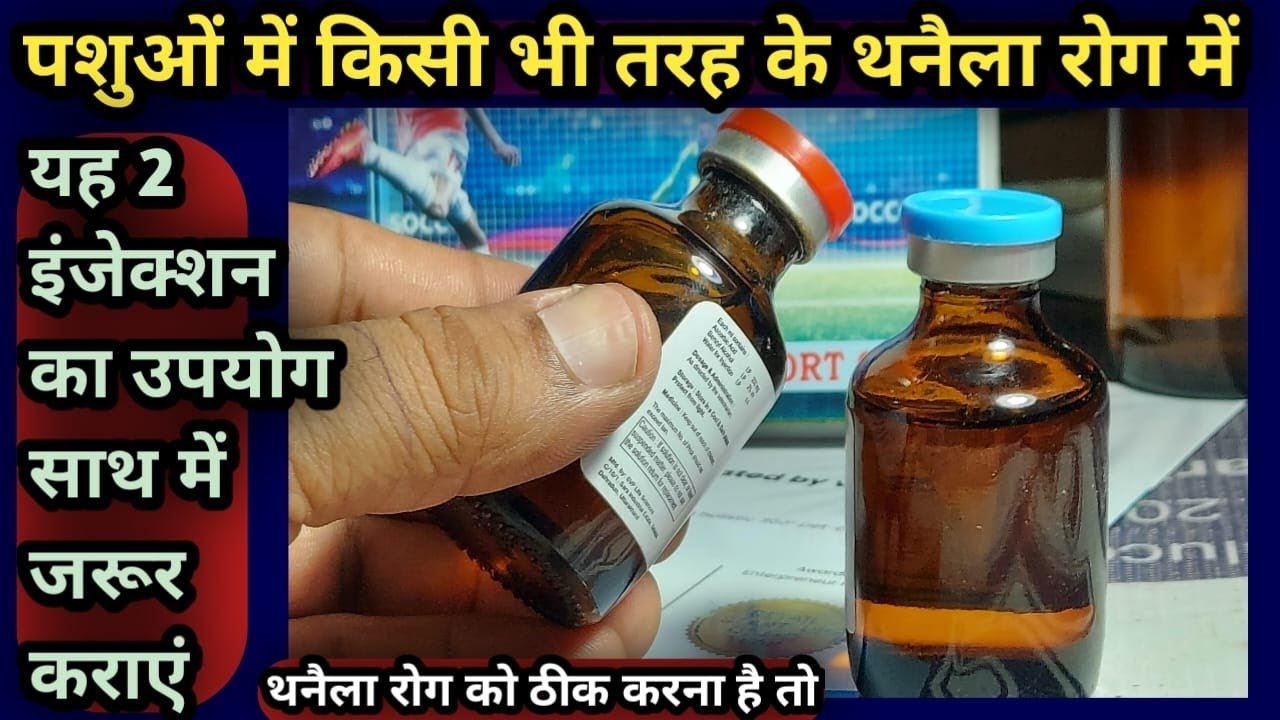 पशुओं में किसी भी तरह के थनैला रोग में||यह 2 इंजेक्शन का उपयोग साथ में जरूर कराएं||Better Result