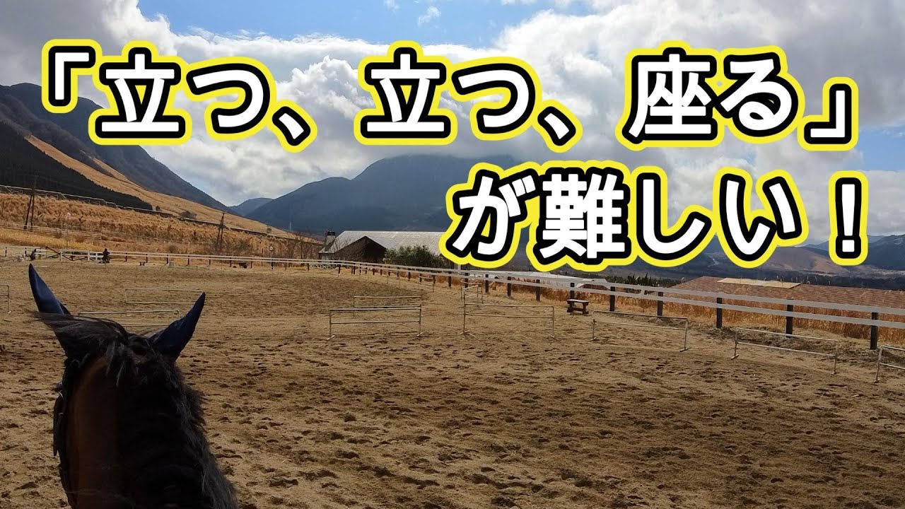 乗馬初心者【61日目】「立つ、立つ、座る」が難しい