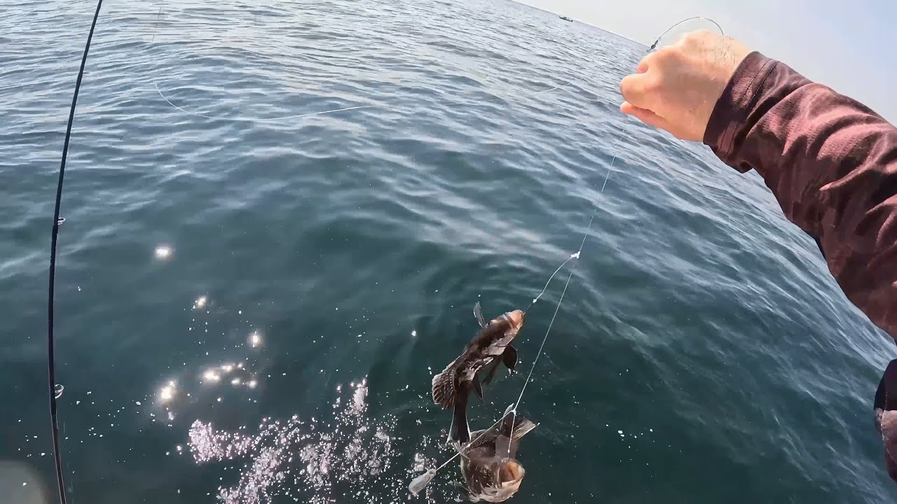Fishing Long Island’s South Shore Reefs – Nonstop Action, But Few Keepers