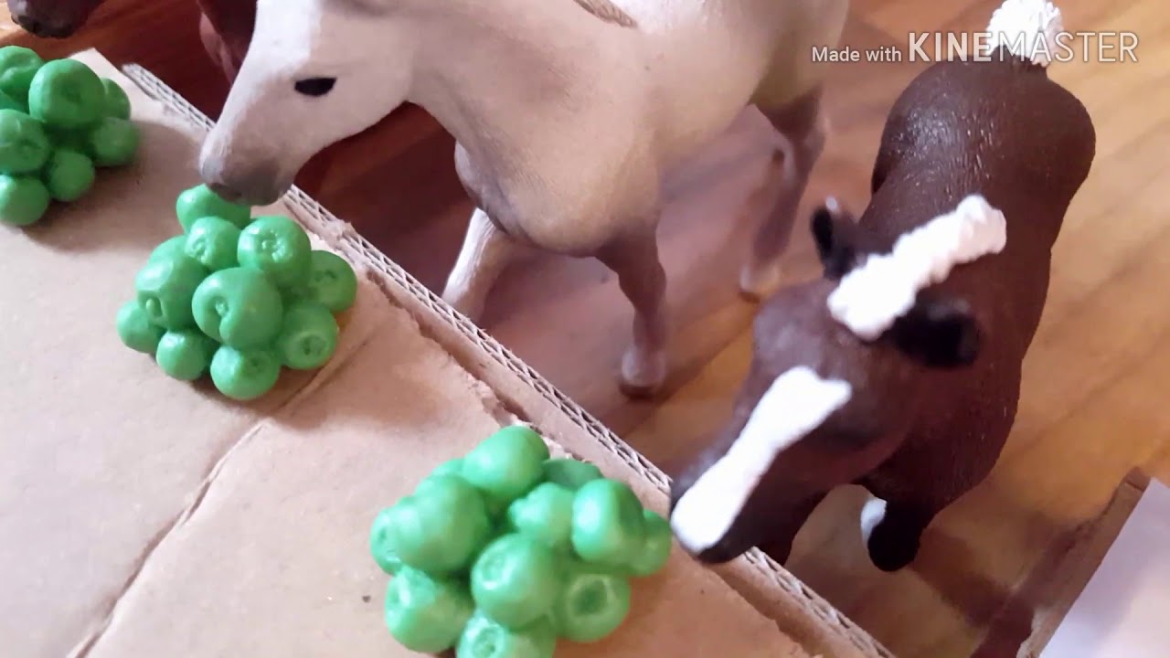 Fohlen wg #1 die neue