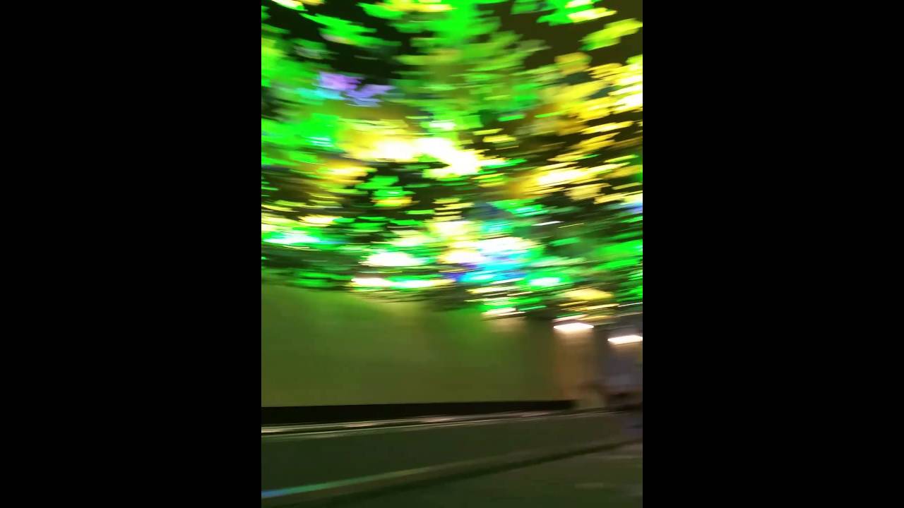 Hartsfield  Jackson Intr. Airport Rainforest Walk
