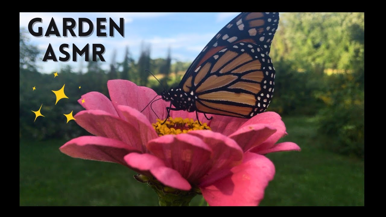 ASMR Garden Tour (lofi)🦋🌸✨Butterflies + Blooms (soft spoken outdoor asmr)