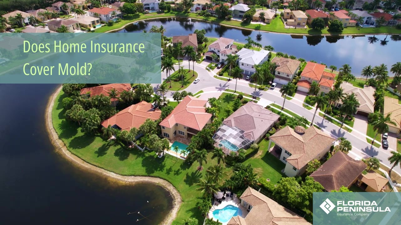 Does Home Insurance Cover Mold?  - Mold Prevention & Coverage Tips from Florida Peninsula Insurance
