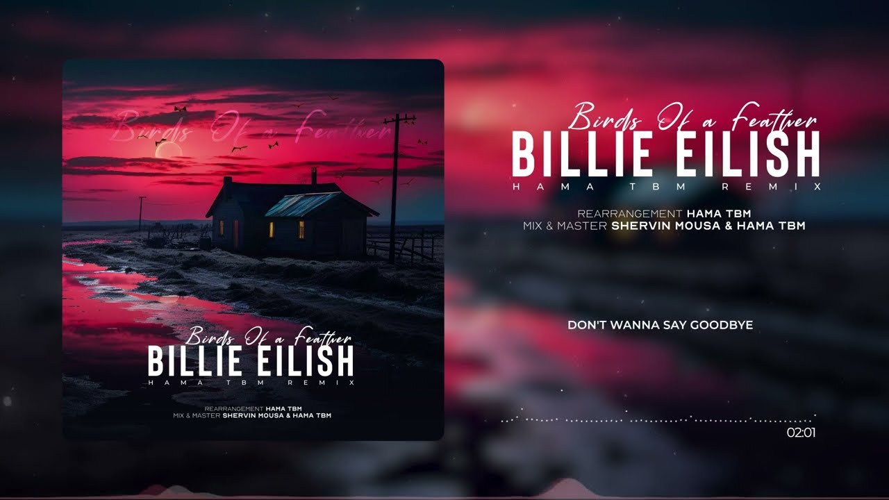 Billie Eilish - BIRDS OF A FEATHER (Hama TBM Remix)