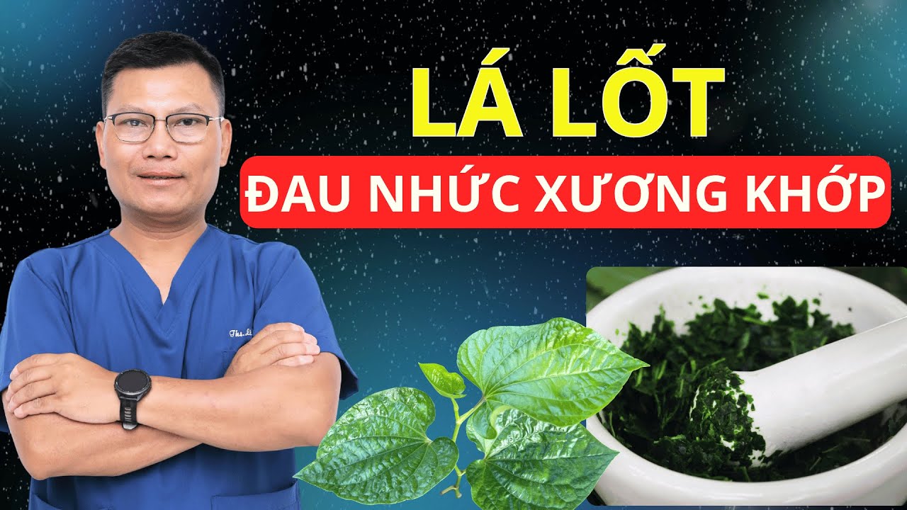 Sự Thật Về Chữa Bệnh Xương Khớp Bằng Lá Lốt Mà Bạn Cần Biết NGAY | Tuấn Thầy Thuốc