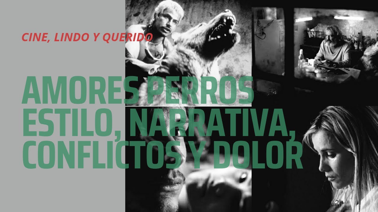 Especial Amores Perros : Análisis y Narrativa