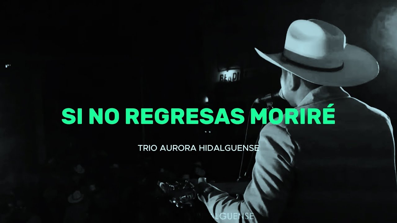 Si no regresas moriré (Video Lyric) - Trio Aurora Hidalguense