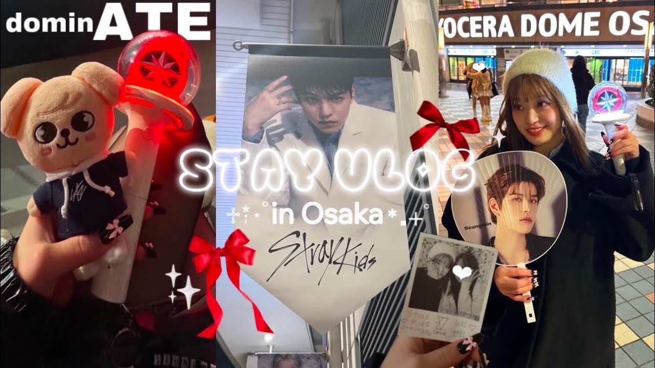 【STAY VLOG🖤】ついにぼっち参戦卒業🥹🫱🏽‍🫲🏾限界オタクの2024年ラスト現場に密着❤️‍🔥【dominATE】【Stray Kids】