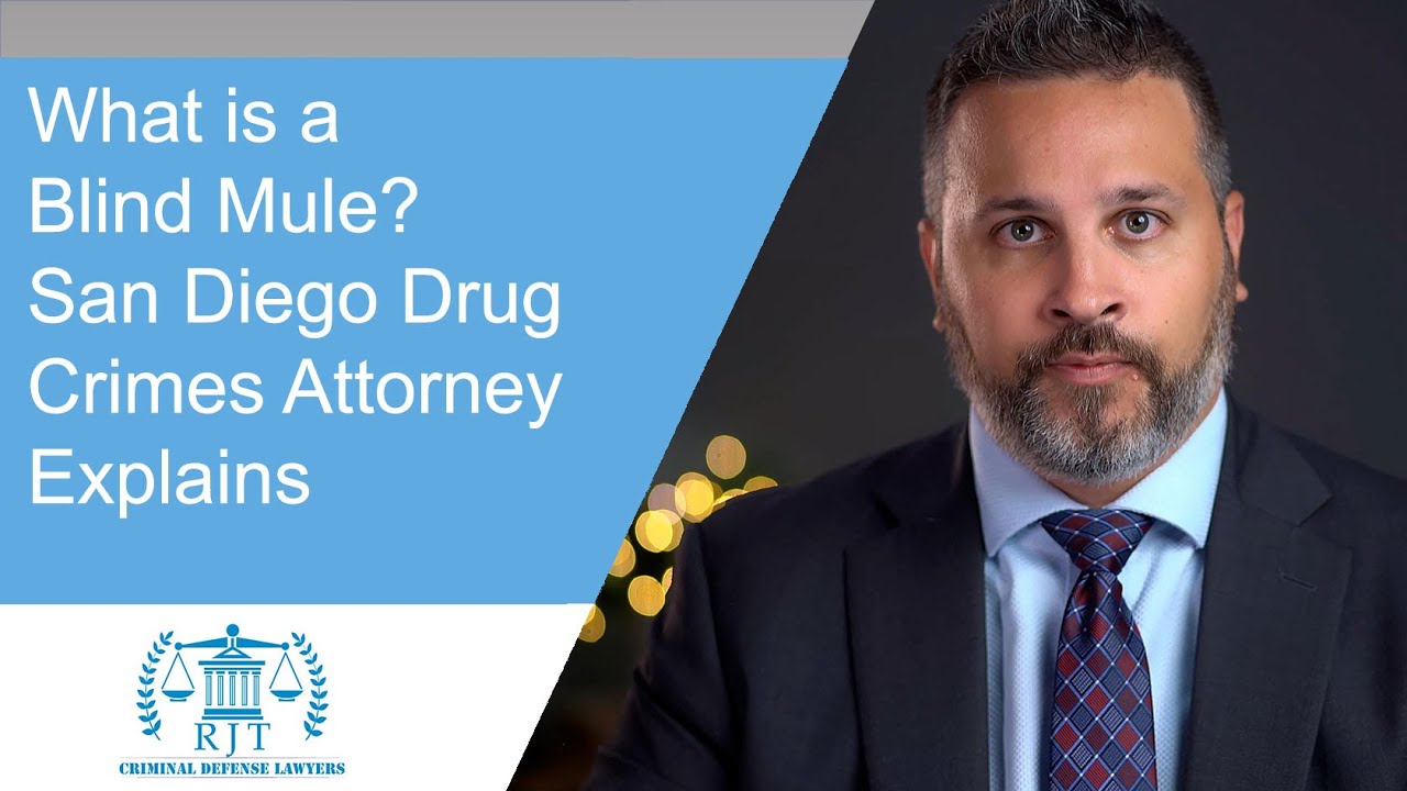 San Diego Drug Crimes Attorney Explains What a Blind Mule Is