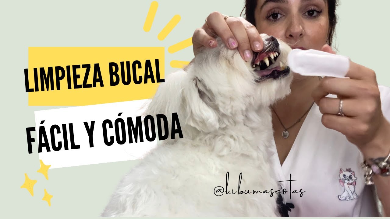 Cómo cepillar los dientes a un perro de forma fácil, cómoda y sana. Paso a paso.