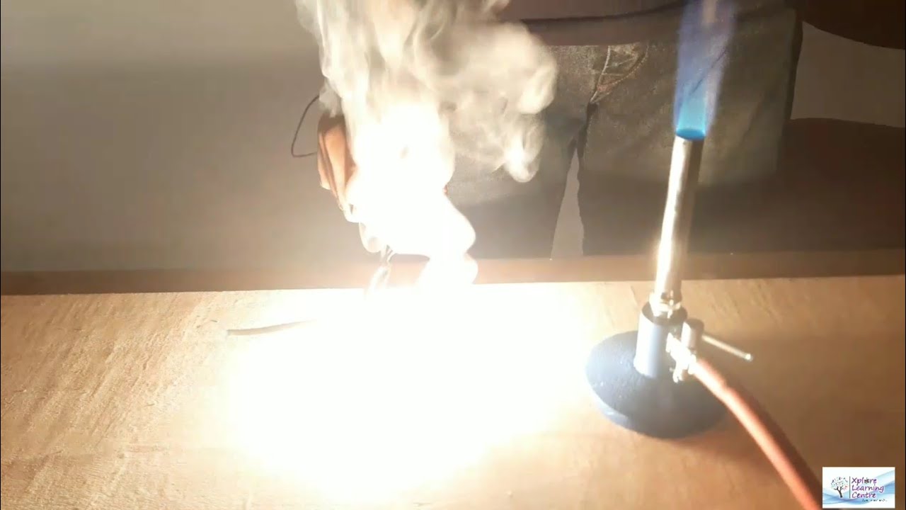 10-й курс по естествознанию, занятие 1.1