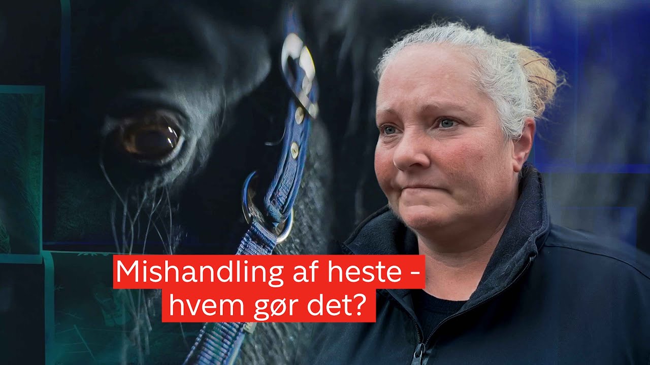 Hvem skærer i Pernille og Majas hest? (1:3)
