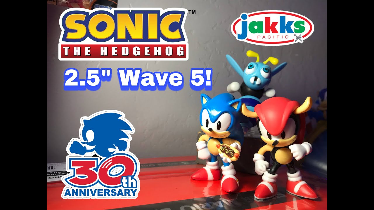 Jakks Sonic the Hedgehog 2.5 Wave 5 Review!
