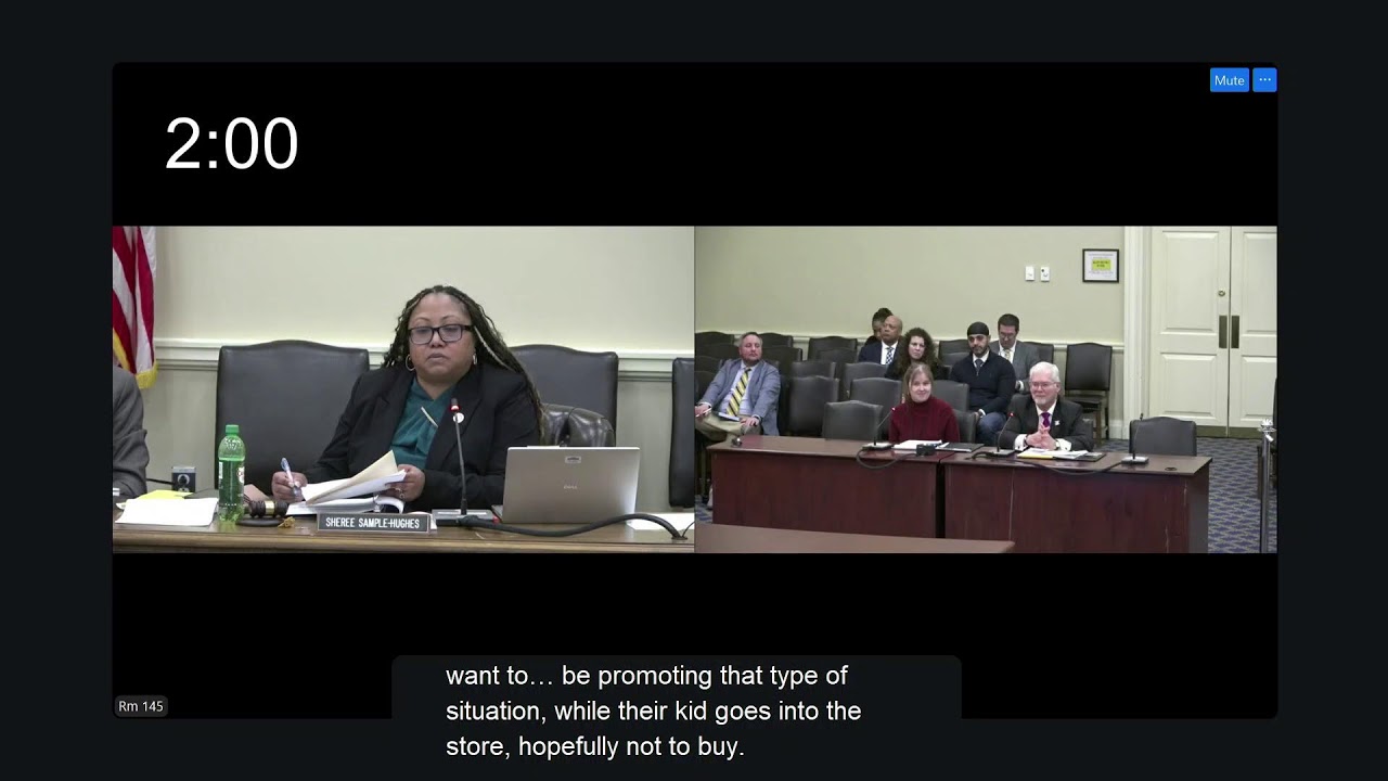 GVC Committee Session, 2/23/2026 #1