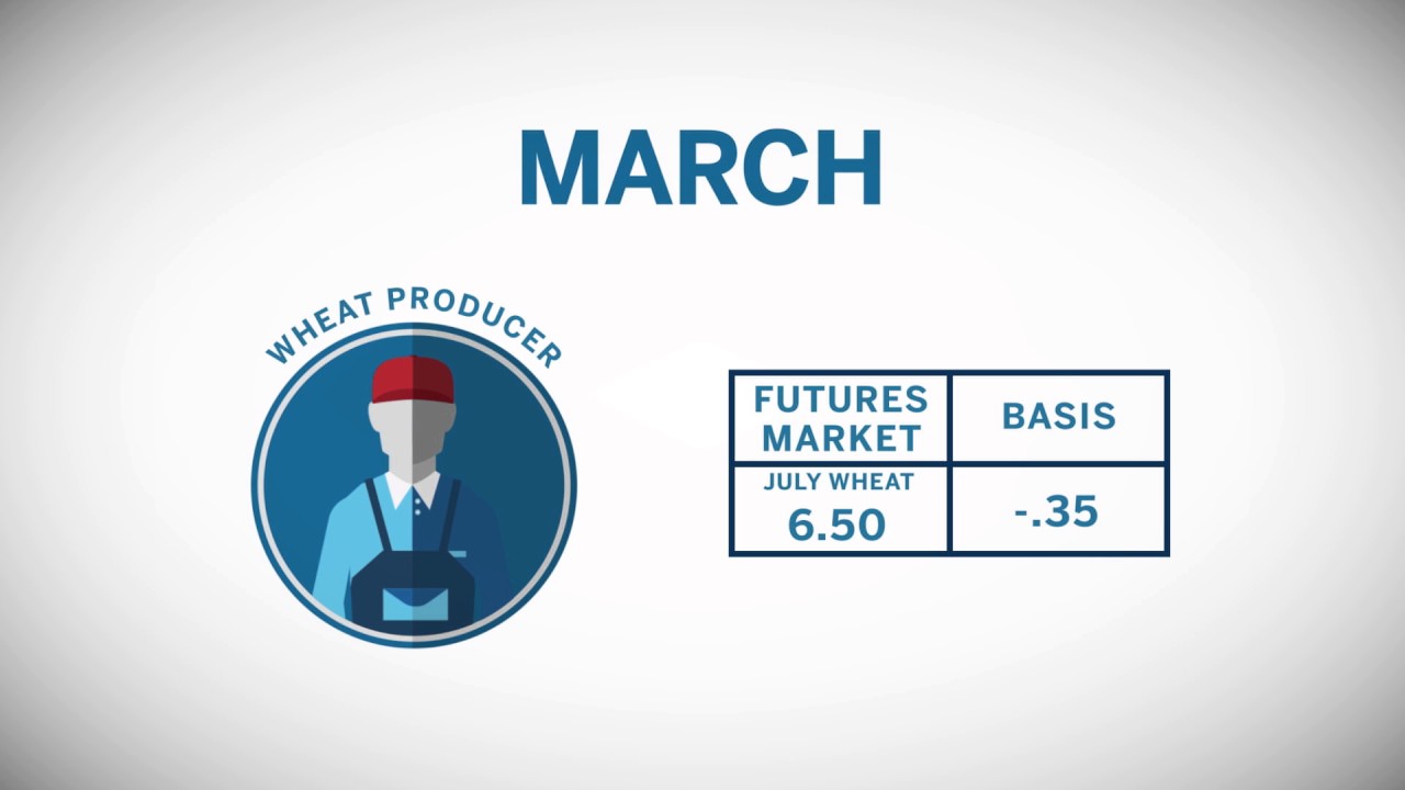 Learn about Basis: Grains