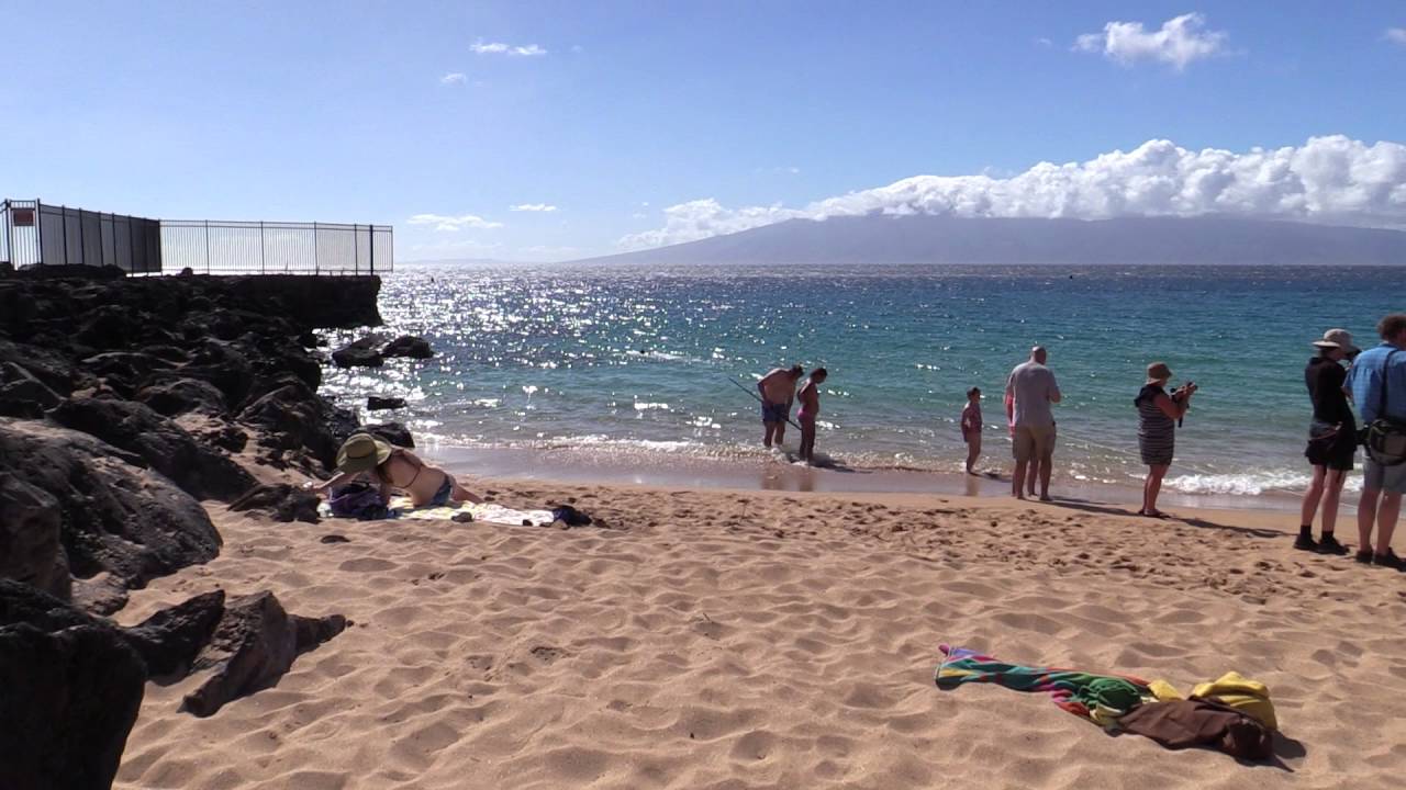 Black Rock - Best Shore Dives Maui, Hawaii