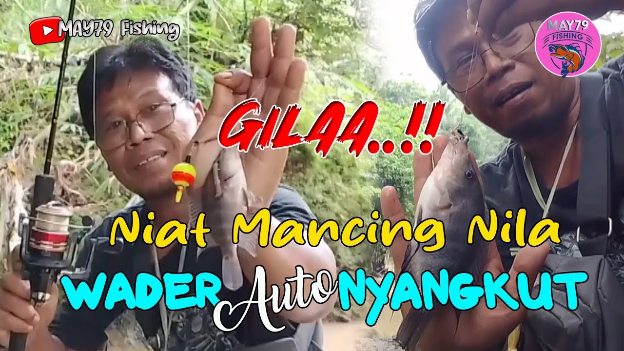 GILA‼️ Niat Mancing Nila, Wader Auto Nyangkut Semua 😱MAY79 FISHING
