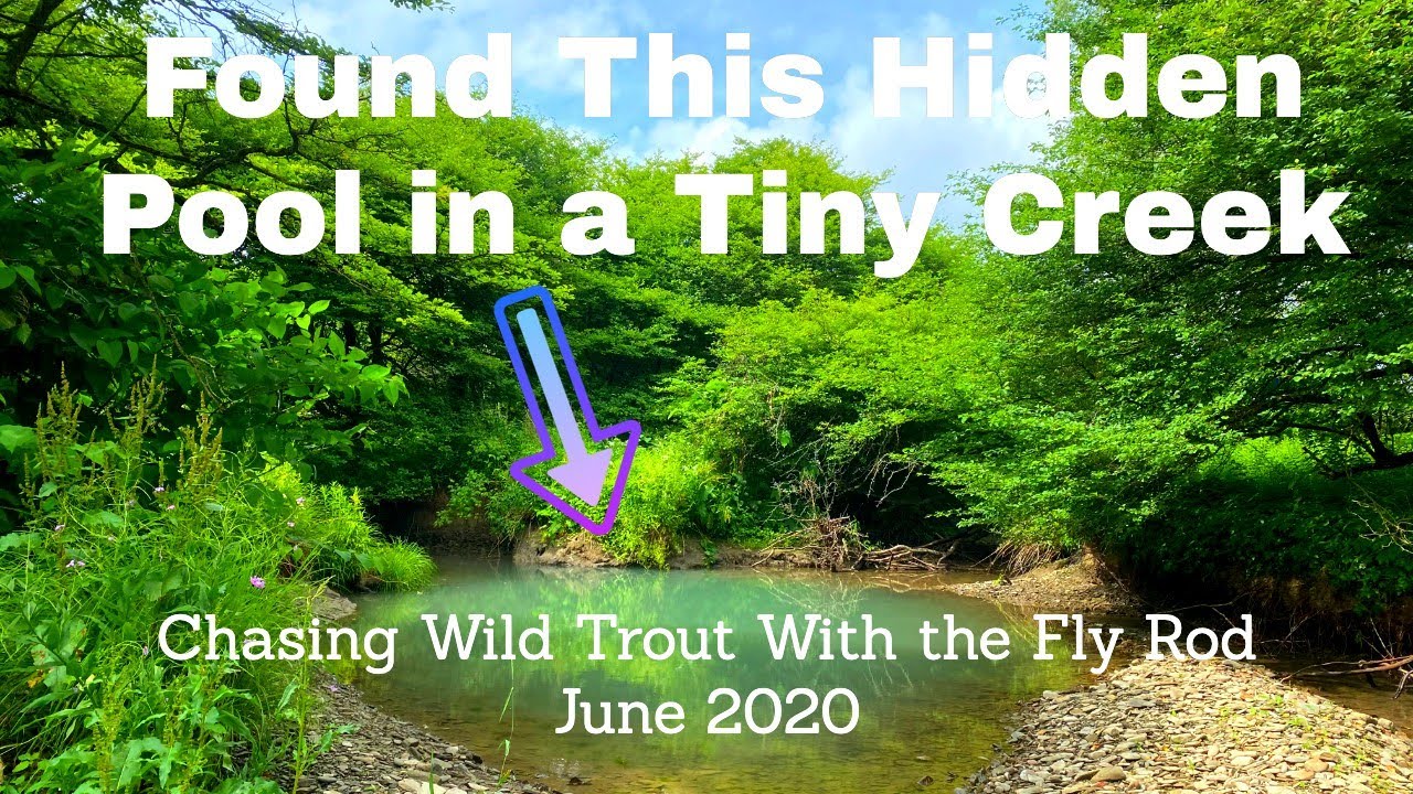 Chasing Big Browns |  Fly Fishing Small Creek for Wild Trout