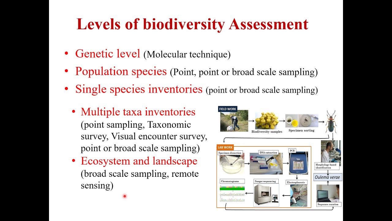 Biodiversity Monitoring Part-I (Methods for sampling Flora)