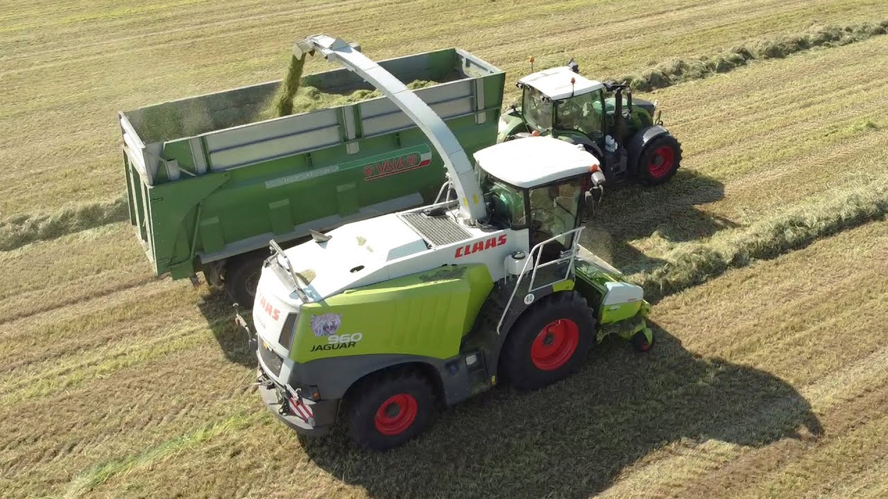 INSILATO D'ERBA 2021 / GRASS SILAGE | CLAAS JAGUAR 960