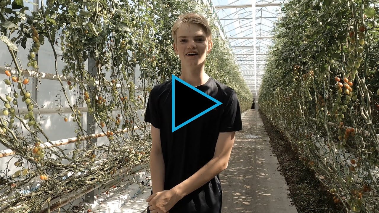VLOG UIT DE KAS #4 seizoen 5 Ties | Kwekerij Duijvestijn