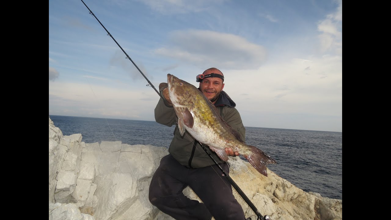Shore Jigging for BIG Goldblotched Groupers! Zenaq Defi Muthos 96HH & 100HHH GT + Saltiga & Stella!
